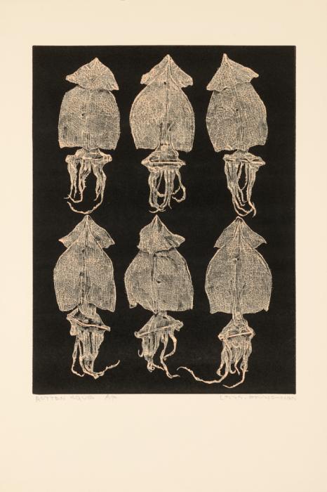 Squid