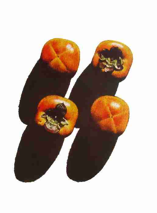 Four Persimmons