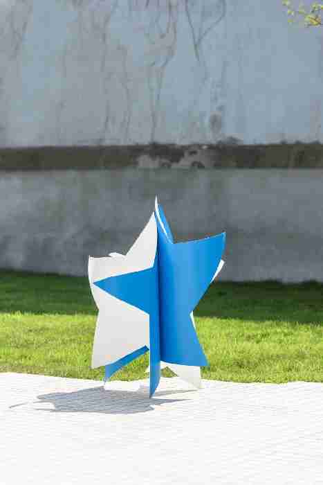 Dancing Star(Blue and White)