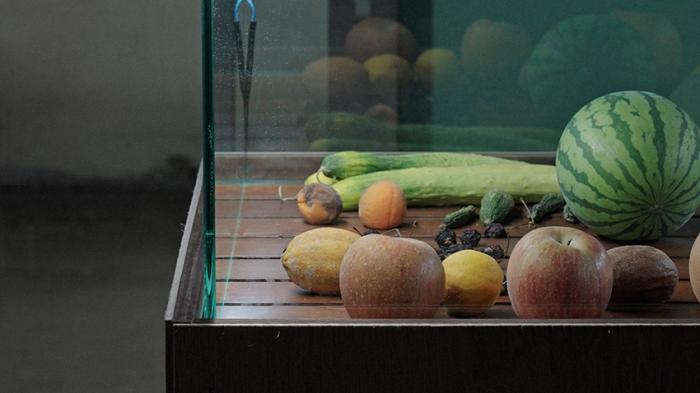 광합성하는 죽음