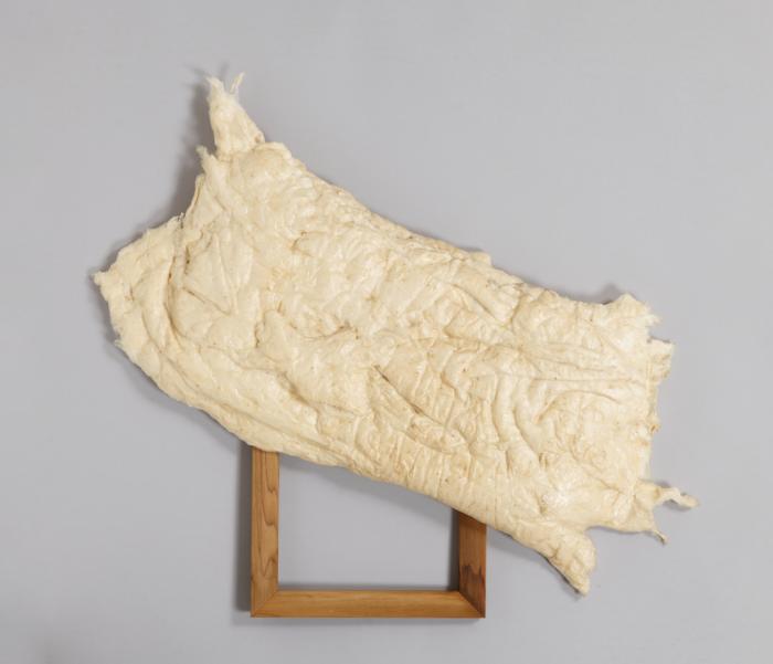 신(神)의 배설물