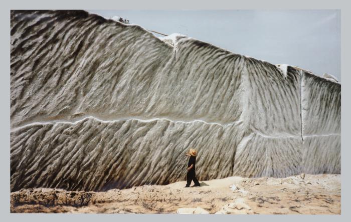 Painting of the Gas’s Heat